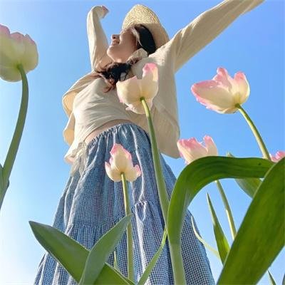 蒙面达虎